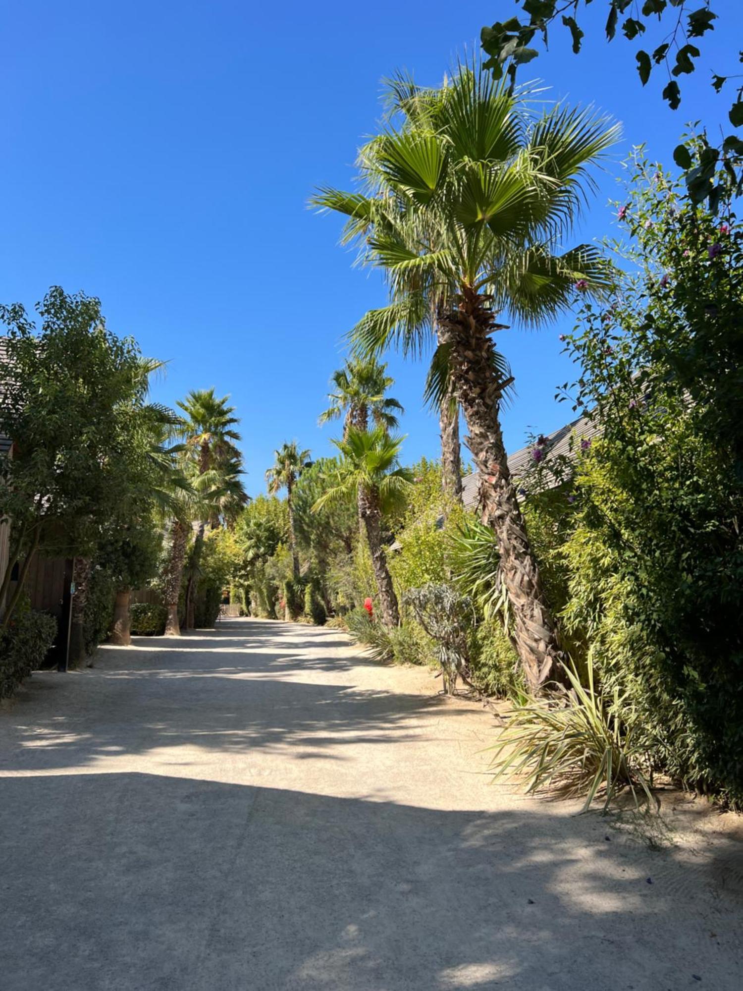 Apartamento Le Refuge Du Littoral N3 Grimaud Exterior foto